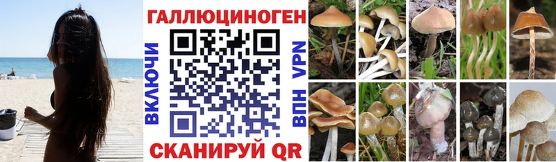 Купить закладки  Бронницы  Псилоцибиновые грибы ЛСД 